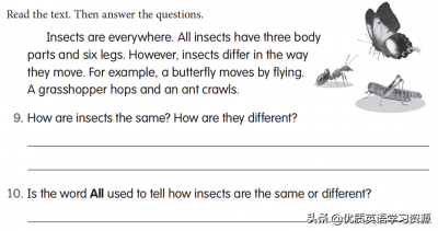 ​insects怎么读（insects怎么读英语单词）
