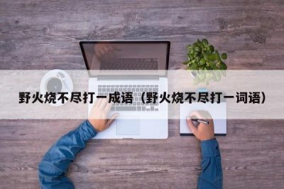 ​野火烧不尽打一成语（野火烧不尽打一词语）