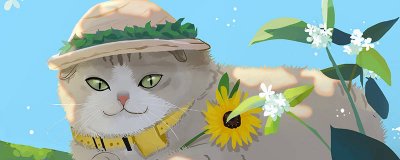 ​孩子被猫抓伤了脸怎么办 小孩被猫抓破皮出血了怎么处理