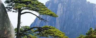 ​什么什么是黄山四绝 黄山市黄山四绝分别是什么