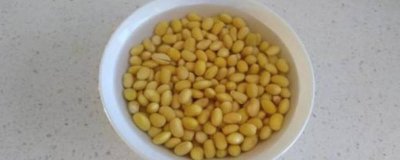 ​泡过的黄豆放冰箱十天左右能吃吗 泡过的黄豆放冰箱第二天能做豆腐么