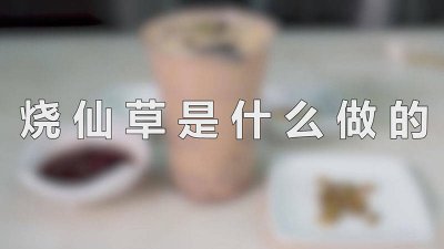 ​烧仙草是怎样做的 烧仙草是怎么做的视频