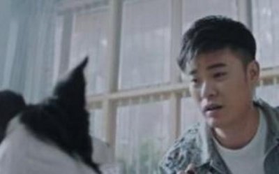 ​动物管理局四爷去哪里了？四爷身份是什么结局如何
