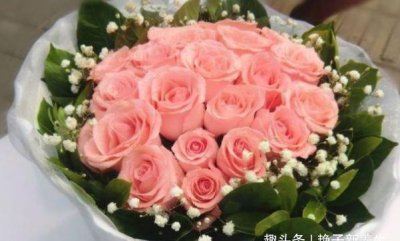 ​“优良玫瑰”戴安娜，粉嫩如公主，清新之美，客厅养花必备