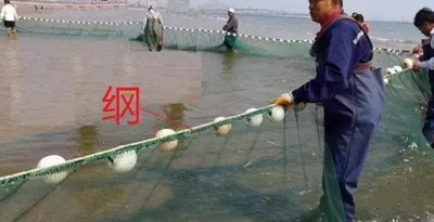 ​昌黎话为啥把缰绳叫纲绳