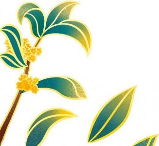 ​缘分是什么