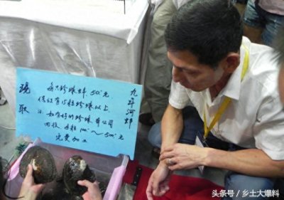 ​实拍农村大集市上，卖9年河蚌现取珍珠，一个只要50元