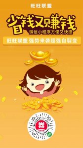 ​什么是旺旺联盟？
