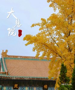 ​津城百年古刹「大悲禅院」