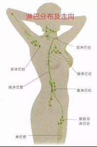 ​颈部淋巴、腋下淋巴按摩用处多，图示简易流程和3大注意事项