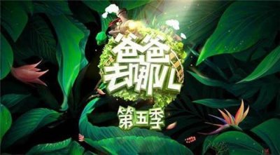 ​爸爸去哪儿5有哪些嘉宾 爸爸去哪儿5嘉宾名单阵容