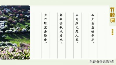 ​82.39分 - 刘禹锡《竹枝词·山上层层桃李花》美学鉴赏&咬文嚼字