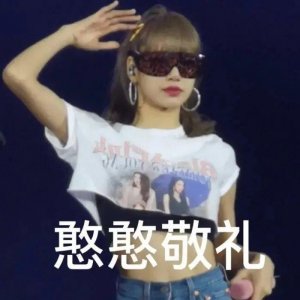 ​你是什么货色，本公主就是什么脸色！