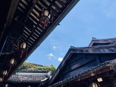 ​洞见：探索未知，洞察真相