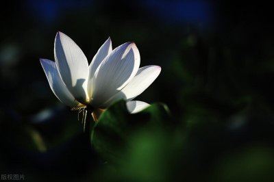 ​佛山三水区