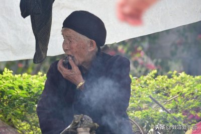 ​同样是玉米，甜玉米和糯玉米有啥区别？弄懂后别再买错了