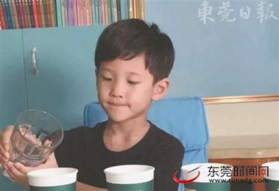 ​广州7岁男孩“直播”近100个科学实验吸粉23万 网友称其“小谢耳朵”