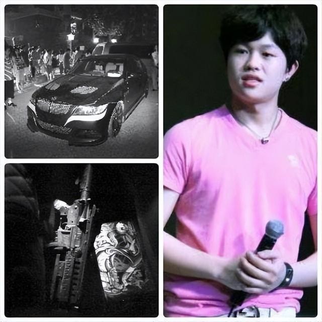 李双江儿子李天一个人简介（李双江儿子李天一）(2)