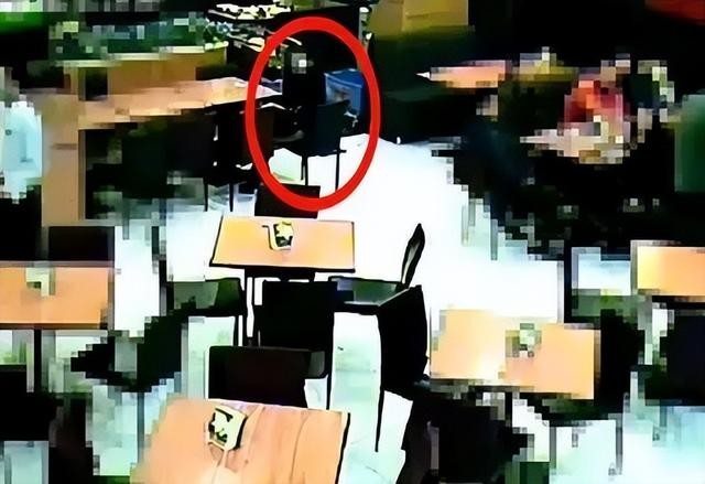 李双江儿子李天一个人简介（李双江儿子李天一）(15)