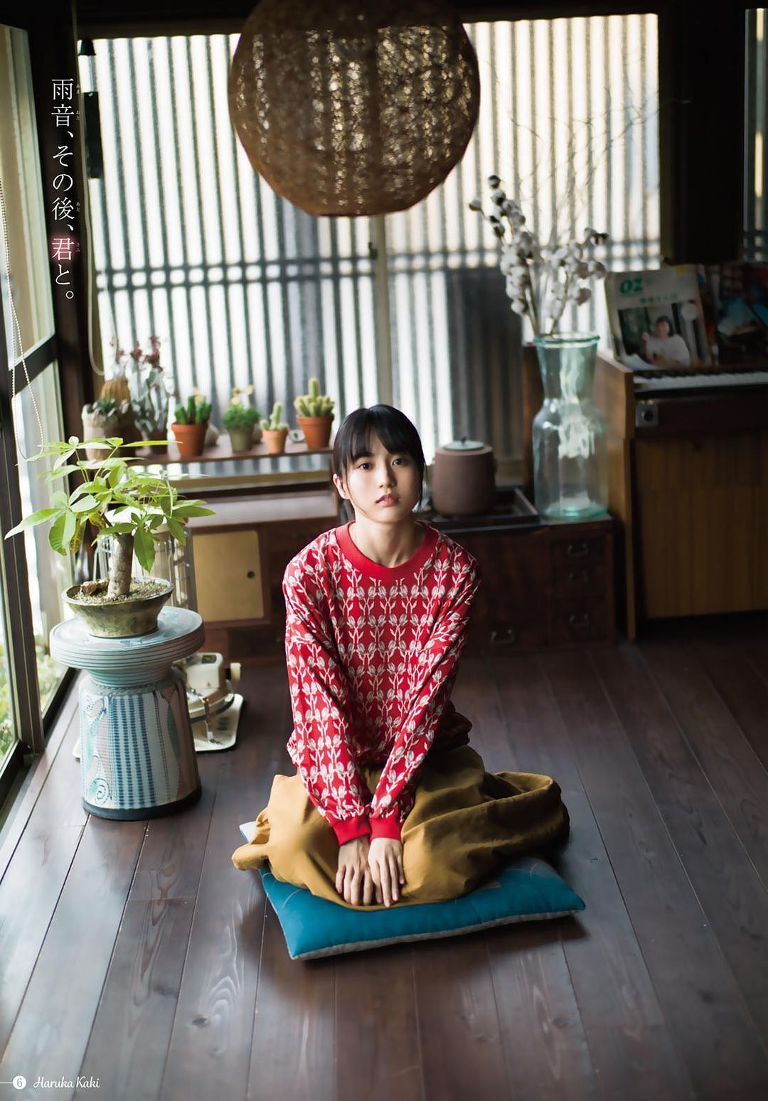 贺喜遥香个人资料写真作品