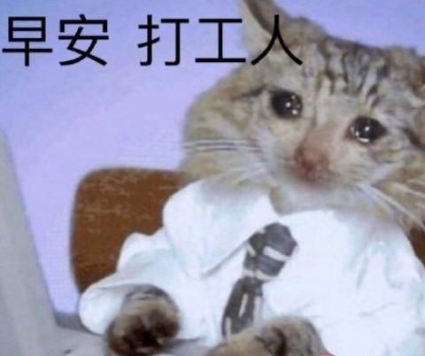 有些人在评论里说脏话，你们是怎么看待这样的事情的