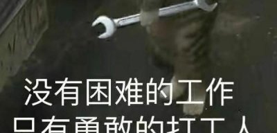 ​打工人是什么意思网络语言，新媒体与短视频主要工作内容是什么？怎么样？