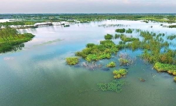 湿地被称为什么,泰国有哪些称誉图7