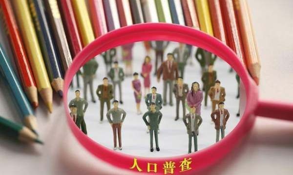 人口普查2025具体时间,全国第七次人口普查结果图3
