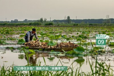 ​雄安早知道（2019年9月9日）雄安第三批征拆迁启动，涉94个村1.9万余人