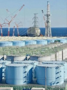 ​福岛的这些变异照片告诉你，为何我国强烈反对日本排放核污染水！