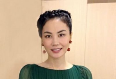 ​王菲的历任老公介绍 王菲的老公有几个