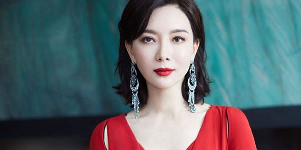 陈数的有自己的孩子吗 陈数为什么不能生育
