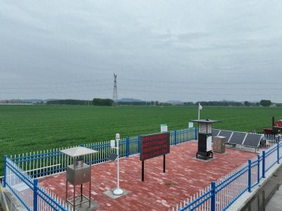 ​肥城洼里村：从“望天收”到“吨半粮”