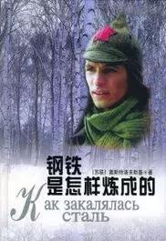 2000年左右好看的电视剧推荐（那些年我们追过的电视剧--2000年以前）(51)