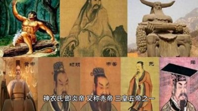 神农氏为何尝百草?