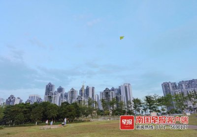 ​风筝该怎么放才安全？丨恼人的风筝线·探讨
