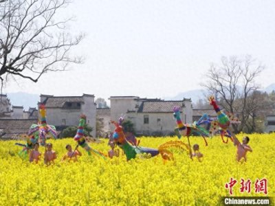 ​春日卢村·赏花乐宴：花海为幕，奏响乡村振兴艺术乐章