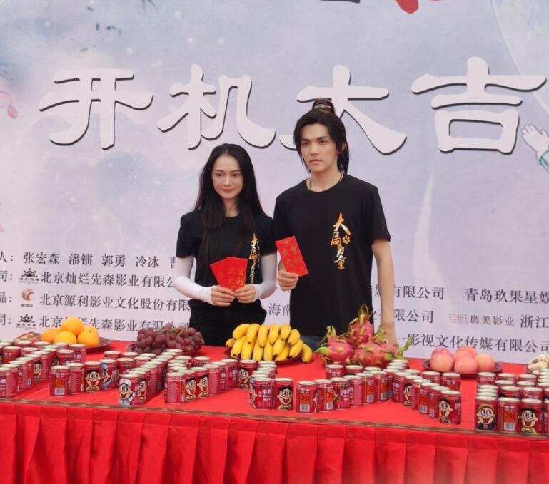 王子文老公个人资料简介(王子文老公是谁有什么背景)