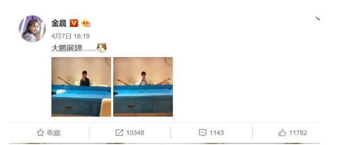 贾乃亮金晨恋情是真的吗？二人怎么认识什么时候好上同居恋爱细节