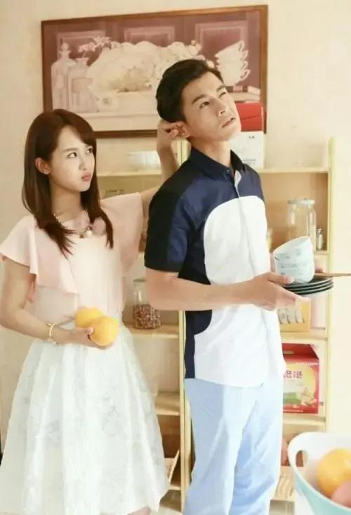 杨紫演过所有的剧(杨紫演过的电视剧)(14)
