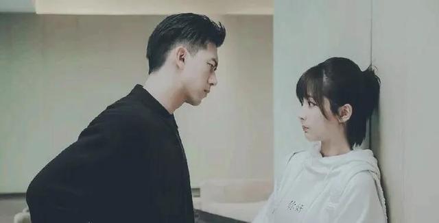 杨紫演过所有的剧(杨紫演过的电视剧)(18)