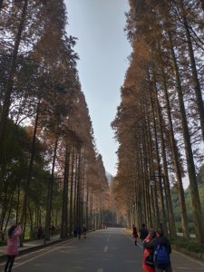 ​青城山前山一日游攻略