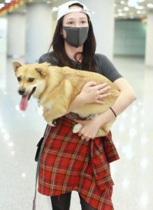 ​陈乔恩变尽职铲屎官！抱超肥宠物狗拉风亮相