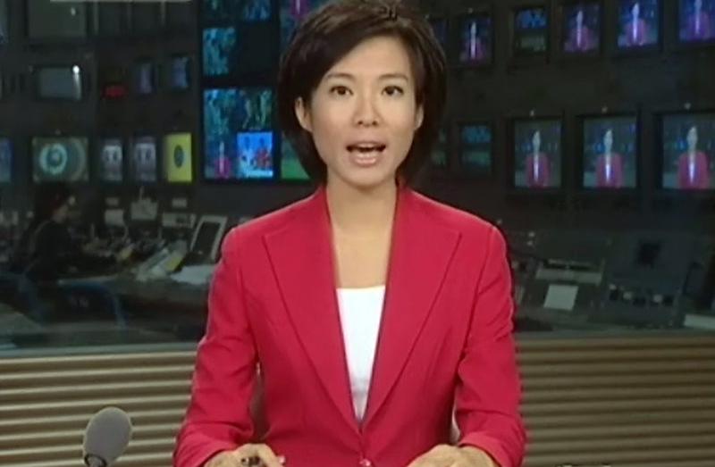 央视宝晓峰丈夫