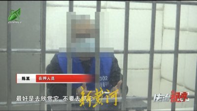 ​网购一只“会说话的鹦鹉”，福建一男子被判拘役3个月惹争议