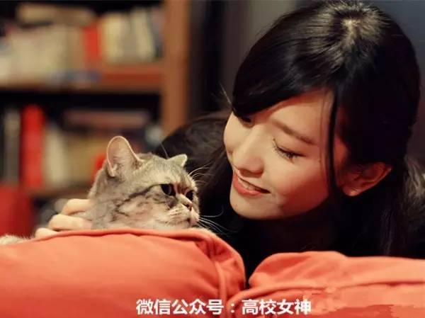 《一站到底》女神晁雪薇,真正的漂亮知性女生!