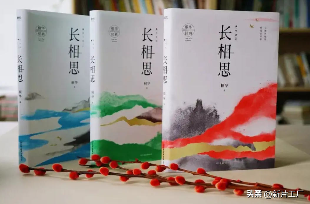 《长相思》导演用短短三句话评价杨紫,却说到观众心坎上去了