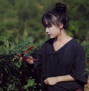 ​李子柒经历了啥子事情