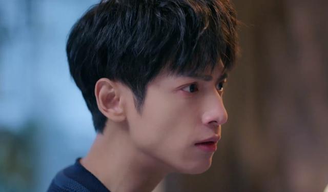 罗云熙半是蜜糖半是伤男二结局（半是蜜糖半是伤已大结局）(5)