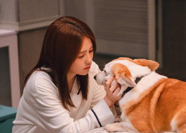 罗云熙半是蜜糖半是伤男二结局（半是蜜糖半是伤已大结局）(2)